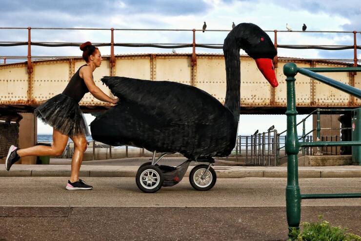 Morning Picdump Morning Picdump