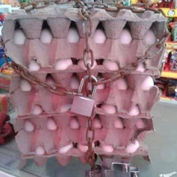 Morning Picdump Morning Picdump