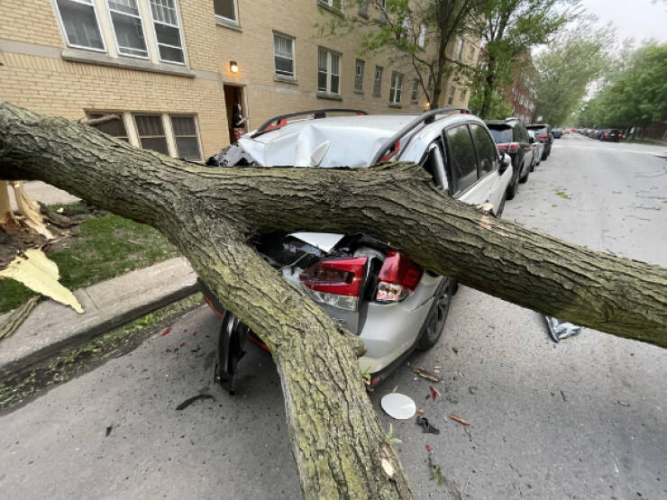 Not Gonna Lie... That’s Just Painful