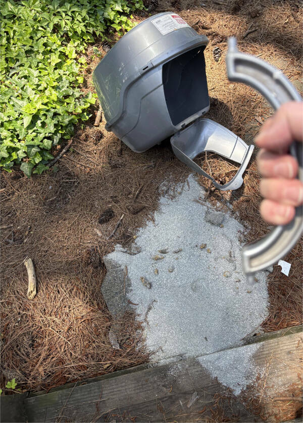 Not Gonna Lie... That’s Just Painful