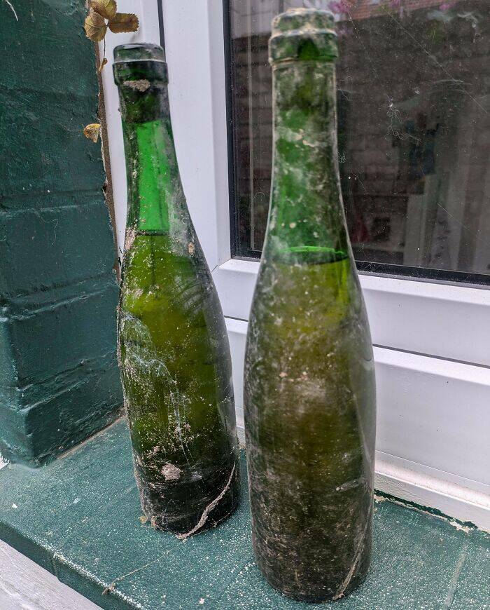 Weird Stuff Lurking in Old Houses