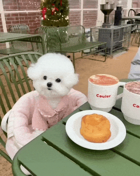 Daily Gifdump Daily Gifdump