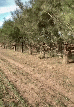 Daily Gifdump Daily Gifdump