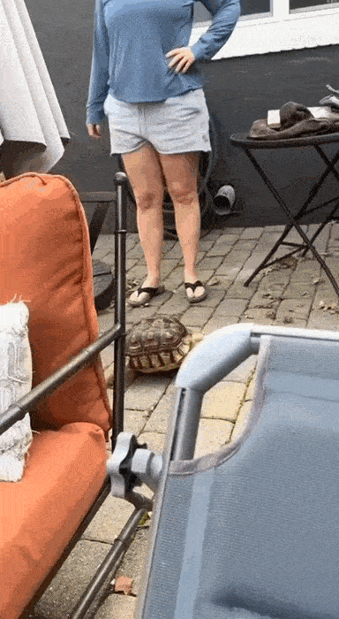 Daily Gifdump Daily Gifdump