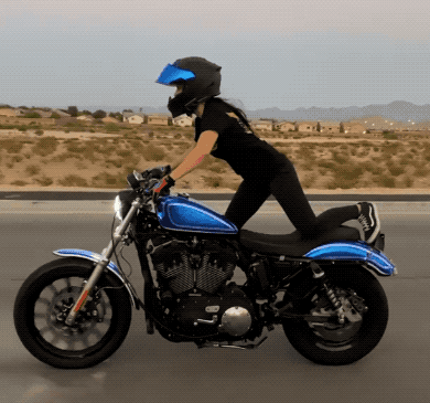 Awesome GIFs That Yell “Freedom!” Awesome GIFs That Yell “Freedom!”