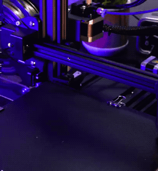 Awesome GIFs That Yell “Freedom!” Awesome GIFs That Yell “Freedom!”