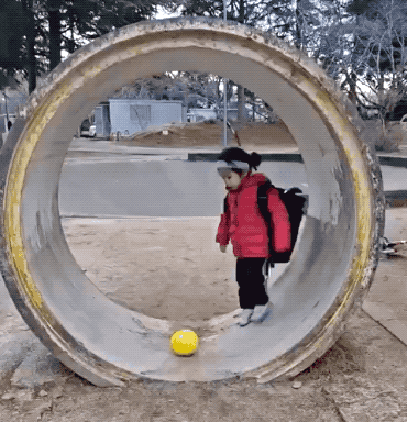 Awesome GIFs That Yell “Freedom!” Awesome GIFs That Yell “Freedom!”