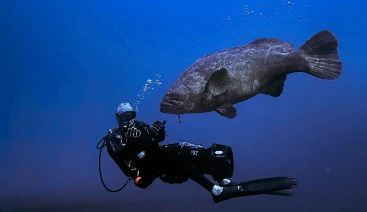 Daily Picdump [WEEKEND EDITION]