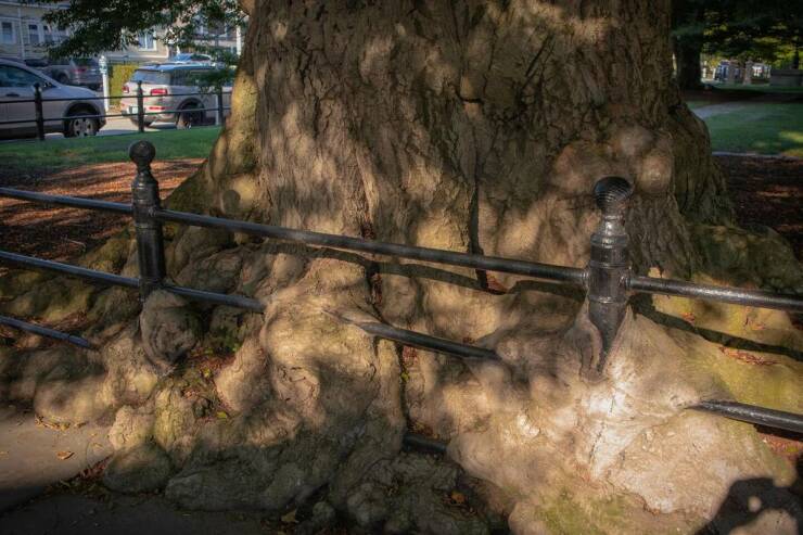 Daily Picdump [WEEKEND EDITION]