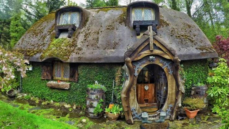 Daily Picdump [WEEKEND EDITION]