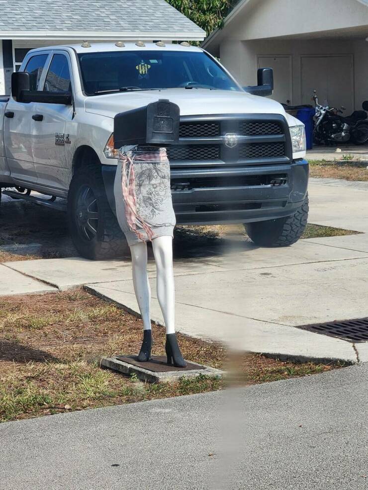 Daily Picdump [WEEKEND EDITION]