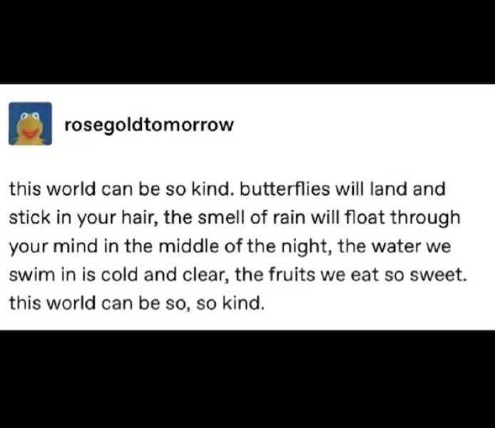 Images That Radiate Pure Positivity