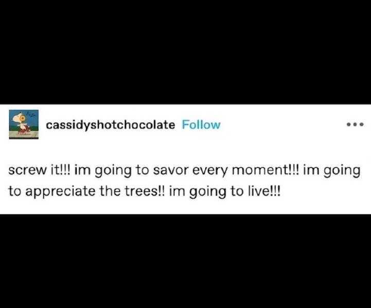 Images That Radiate Pure Positivity