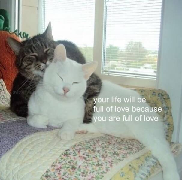 Images That Radiate Pure Positivity