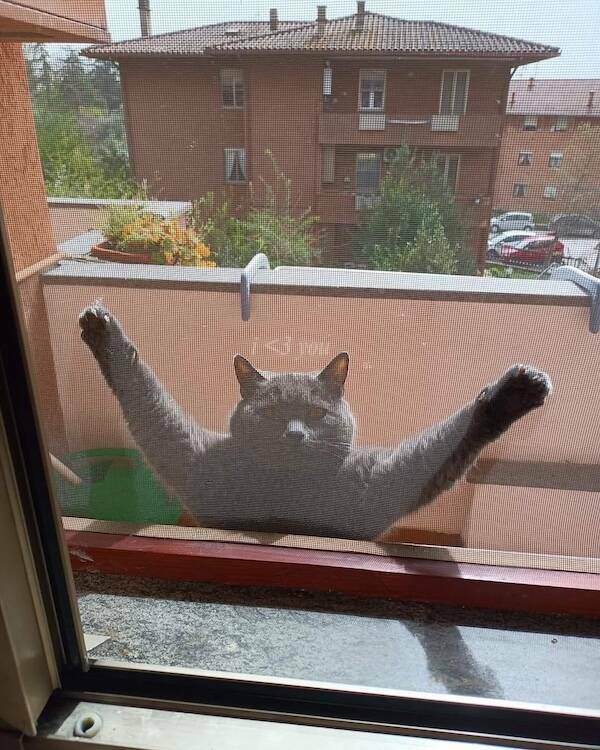 Images That Radiate Pure Positivity Images That Radiate Pure Positivity