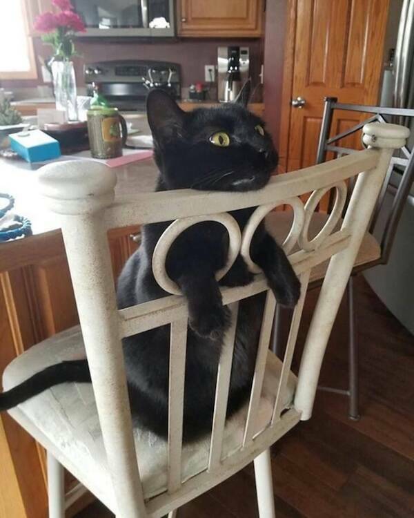 Images That Radiate Pure Positivity