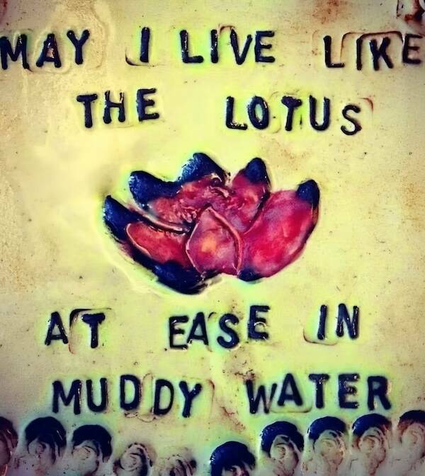 Images That Radiate Pure Positivity