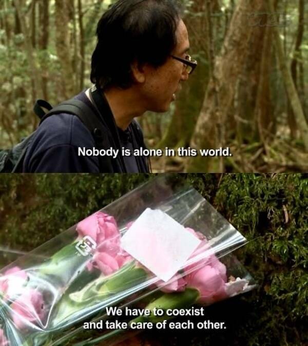 Images That Radiate Pure Positivity