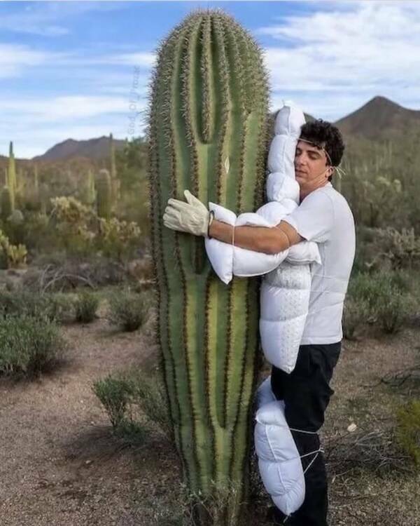 Images That Radiate Pure Positivity