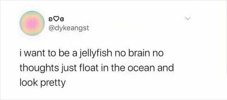 Relatable Woman Moments Captured in Meme Form Relatable Woman Moments Captured in Meme Form