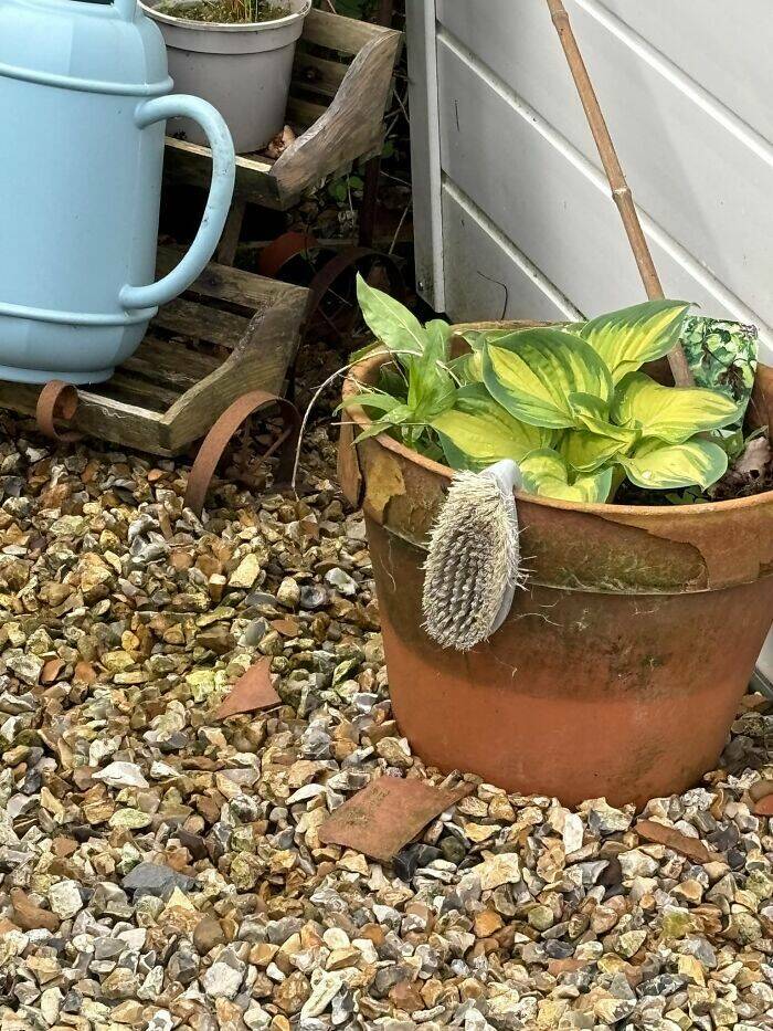 Wildlife Photo Fails So Bad, They’re Brilliant