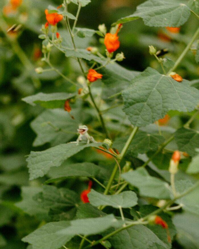 Wildlife Photo Fails So Bad, They’re Brilliant