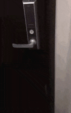 https://img.izismile.com/img/img15/20250524/gifs/daily_gifdump_5010_04.gif