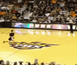 https://img.izismile.com/img/img15/20250524/gifs/daily_gifdump_5010_06.gif