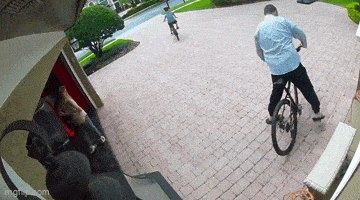 Daily Gifdump Daily Gifdump