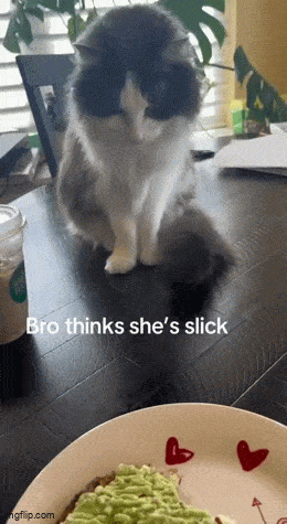 https://img.izismile.com/img/img15/20250524/gifs/daily_gifdump_5010_26.gif