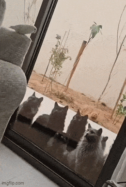 https://img.izismile.com/img/img15/20250524/gifs/daily_gifdump_5010_29.gif