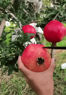 https://img.izismile.com/img/img15/20250524/gifs/daily_gifdump_5010_44.gif