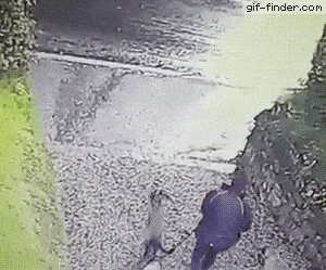 https://img.izismile.com/img/img15/20250524/gifs/daily_gifdump_5010_50.gif