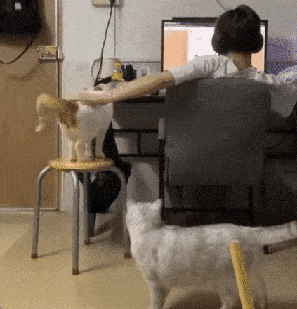 https://img.izismile.com/img/img15/20250524/gifs/daily_gifdump_5010_57.gif