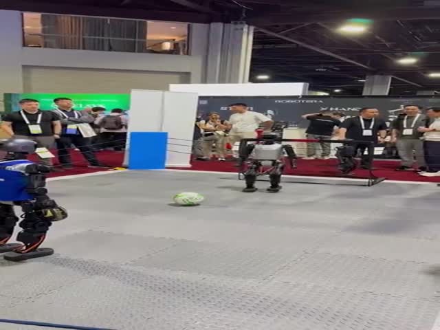 Robots Playing Football