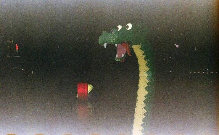 Fascinating Photos People Accidentally Stumbled Upon