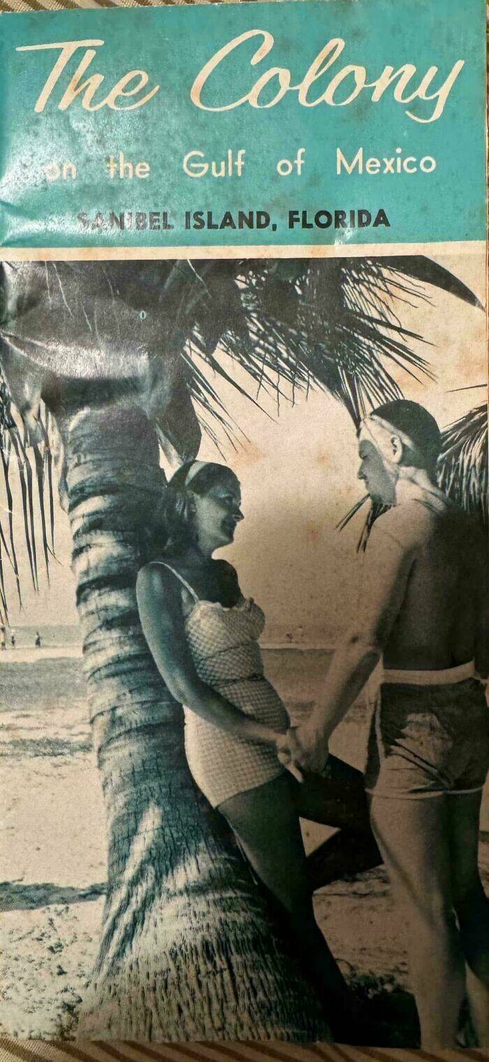 Fascinating Photos People Accidentally Stumbled Upon