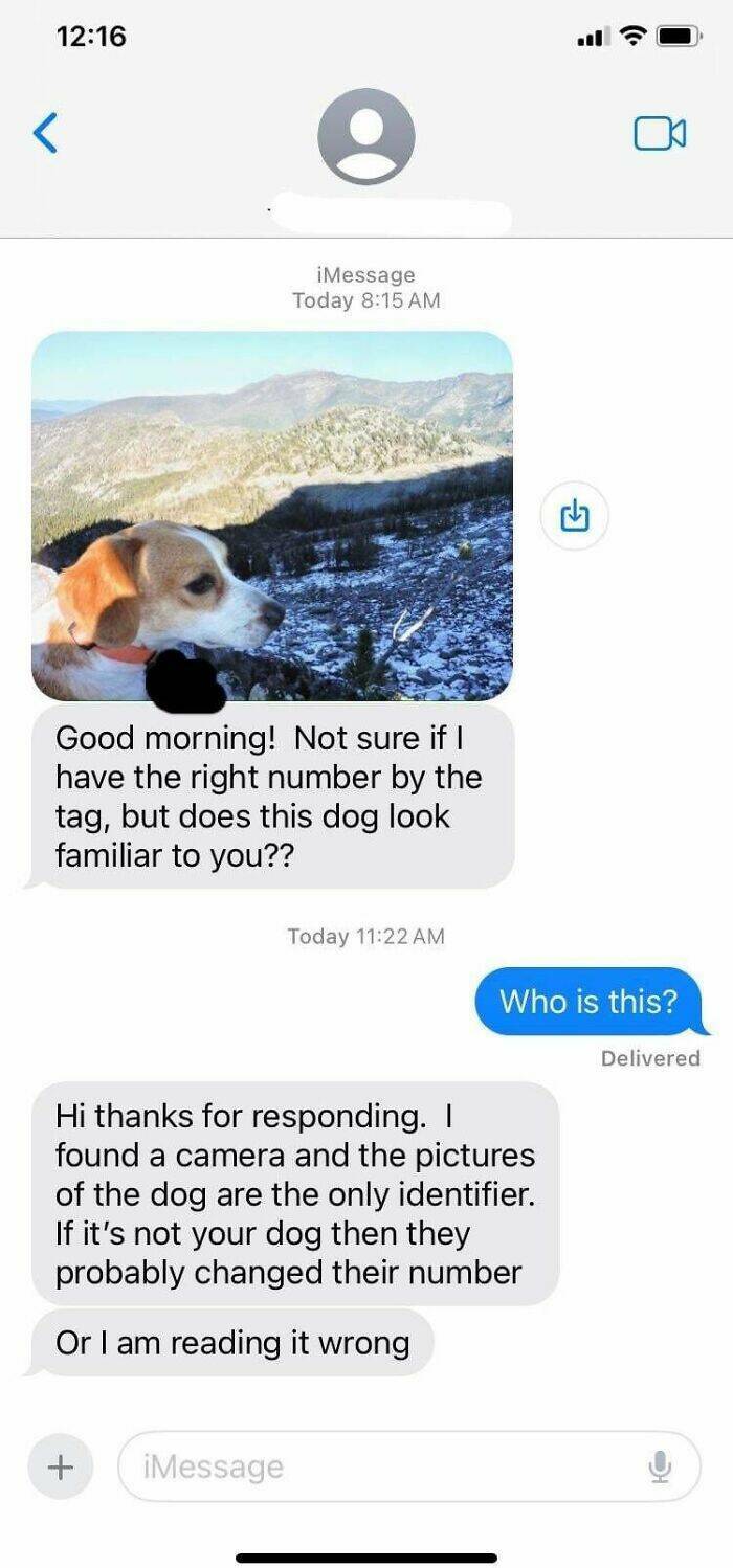 Fascinating Photos People Accidentally Stumbled Upon