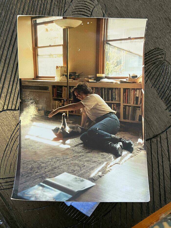 Fascinating Photos People Accidentally Stumbled Upon