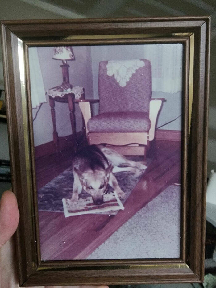 Fascinating Photos People Accidentally Stumbled Upon