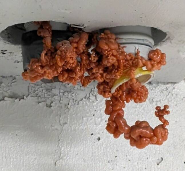 Epic Fails We All Relate To