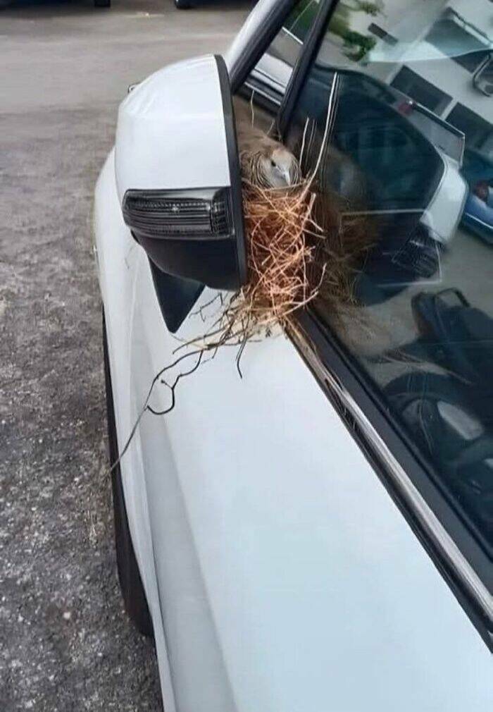 Epic Fails We All Relate To