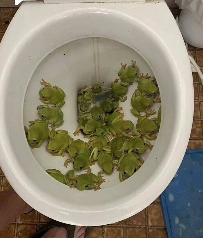 Epic Fails We All Relate To