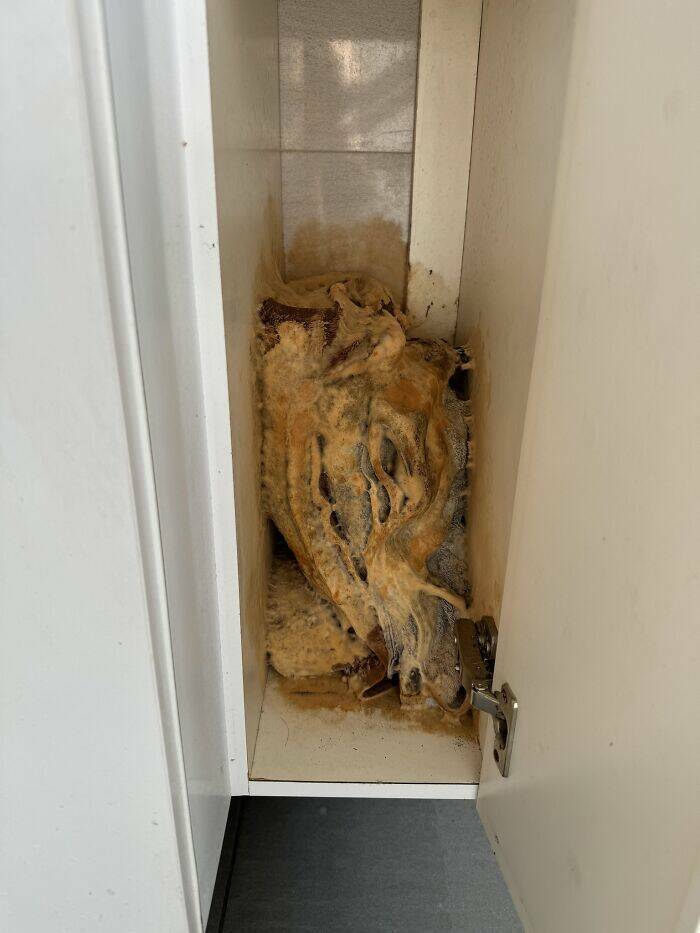 Epic Fails We All Relate To