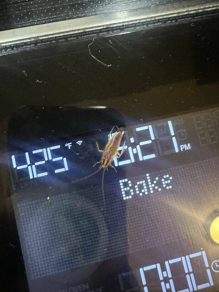 Epic Fails We All Relate To