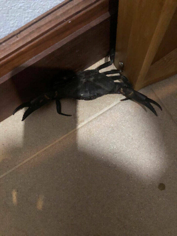 Epic Fails We All Relate To