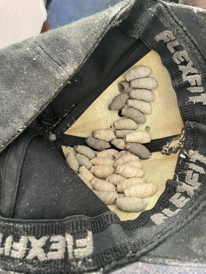 Epic Fails We All Relate To