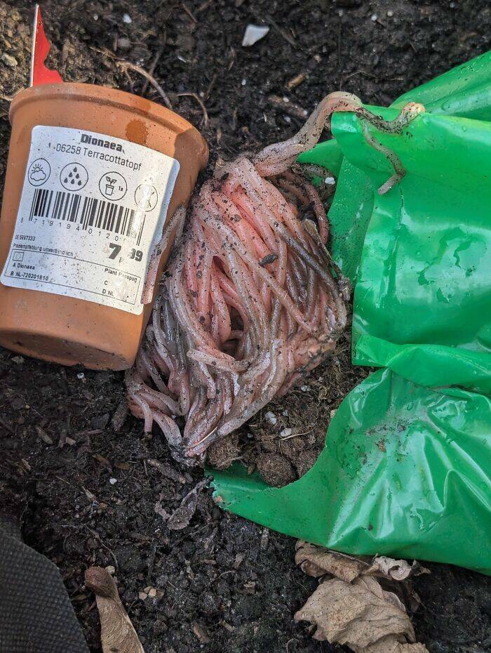 Epic Fails We All Relate To