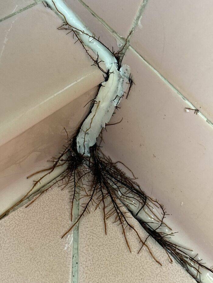 Epic Fails We All Relate To