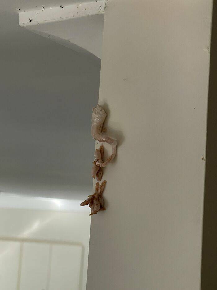 Epic Fails We All Relate To